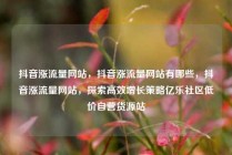 抖音涨流量网站，抖音涨流量网站有哪些，抖音涨流量网站，探索高效增长策略亿乐社区低价自营货源站