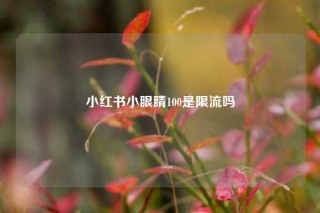 小红书小眼睛100是限流吗