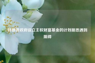 特朗普政府设立主权财富基金的计划据悉遇到阻碍