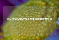 Elliott警告贸易战或引发美国遭遇资本外流