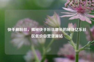 快手刷粉丝，揭秘快手粉丝增长的秘诀亿乐社区低价自营货源站