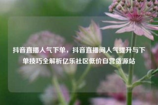 抖音直播人气下单，抖音直播间人气提升与下单技巧全解析亿乐社区低价自营货源站