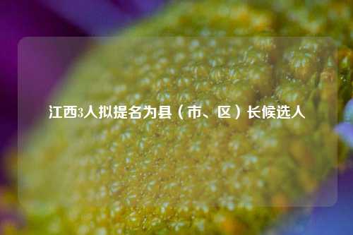 江西3人拟提名为县（市、区）长候选人  第1张