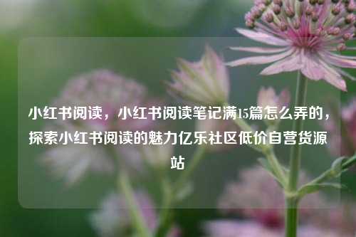 小红书阅读	，小红书阅读笔记满15篇怎么弄的，探索小红书阅读的魅力亿乐社区低价自营货源站  第1张