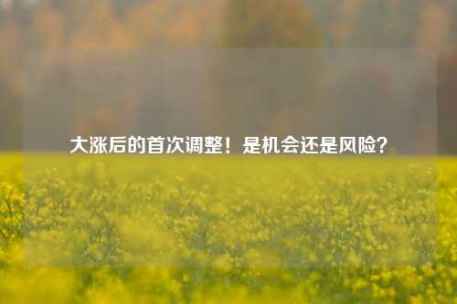 大涨后的首次调整！是机会还是风险？  第1张