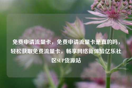 免费申请流量卡，免费申请流量卡是真的吗，轻松获取免费流量卡	，畅享网络新体验亿乐社区SUP货源站  第1张