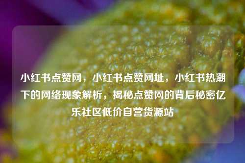 小红书点赞网	，小红书点赞网址，小红书热潮下的网络现象解析，揭秘点赞网的背后秘密亿乐社区低价自营货源站  第1张