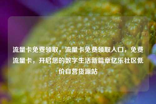 流量卡免费领取	，流量卡免费领取入口，免费流量卡，开启您的数字生活新篇章亿乐社区低价自营货源站  第1张