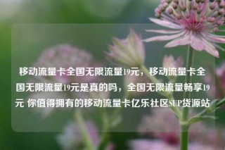移动流量卡全国无限流量19元，移动流量卡全国无限流量19元是真的吗，全国无限流量畅享19元 你值得拥有的移动流量卡亿乐社区SUP货源站