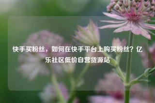 快手买粉丝，如何在快手平台上购买粉丝？亿乐社区低价自营货源站
