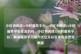 小红书阅读24小时服务平台，小红书阅读24小时服务平台是真的吗，小红书阅读24小时服务平台，解锁高效学习新方式亿乐社区低价自营货源站