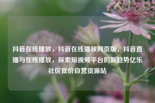 抖音在线播放，抖音在线播放网页版，抖音直播与在线播放，探索短视频平台的新趋势亿乐社区低价自营货源站