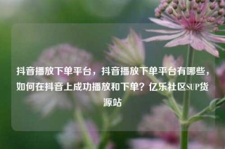 抖音播放下单平台，抖音播放下单平台有哪些，如何在抖音上成功播放和下单？亿乐社区SUP货源站