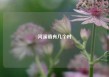 河溪镇有几个村