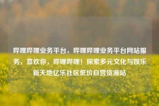 哔哩哔哩业务平台，哔哩哔哩业务平台网站服务，喜欢你，哔哩哔哩！探索多元文化与娱乐新天地亿乐社区低价自营货源站