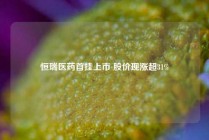 恒瑞医药首挂上市 股价现涨超31%