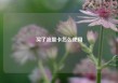 买了流量卡怎么使用