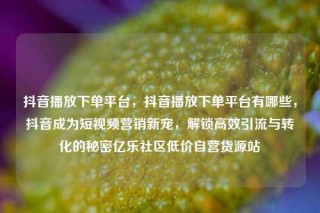 抖音播放下单平台，抖音播放下单平台有哪些，抖音成为短视频营销新宠，解锁高效引流与转化的秘密亿乐社区低价自营货源站