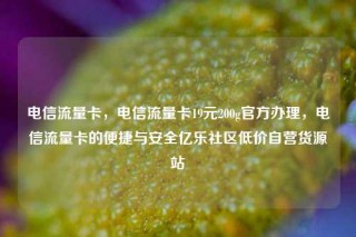 电信流量卡，电信流量卡19元200g官方办理，电信流量卡的便捷与安全亿乐社区低价自营货源站