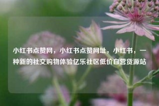 小红书点赞网，小红书点赞网址，小红书，一种新的社交购物体验亿乐社区低价自营货源站