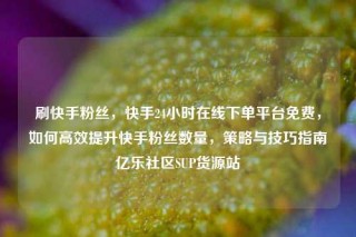 刷快手粉丝，快手24小时在线下单平台免费，如何高效提升快手粉丝数量，策略与技巧指南亿乐社区SUP货源站