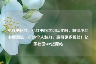 小红书粉丝，小红书粉丝可以买吗，解锁小红书新潮流，打造个人魅力，赢得更多粉丝！亿乐社区SUP货源站