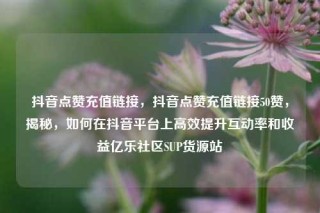 抖音点赞充值链接，抖音点赞充值链接50赞，揭秘，如何在抖音平台上高效提升互动率和收益亿乐社区SUP货源站