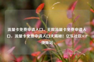 流量卡免费申请入口，无限流量卡免费申请入口，流量卡免费申请入口大揭秘！亿乐社区SUP货源站