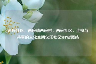 两碗社区，两碗镇两碗村，两碗社区，连接与共享的文化空间亿乐社区SUP货源站