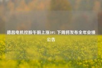 德昌电机控股午前上涨10% 下周将发布全年业绩公告