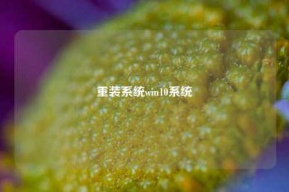 重装系统win10系统