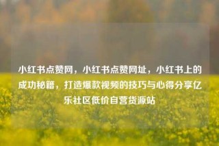 小红书点赞网，小红书点赞网址，小红书上的成功秘籍，打造爆款视频的技巧与心得分享亿乐社区低价自营货源站