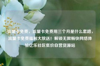 流量卡免费，流量卡免费用三个月是什么套路，流量卡免费福利大放送！解锁无限畅快网络体验亿乐社区低价自营货源站