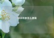 快手双参怎么使用