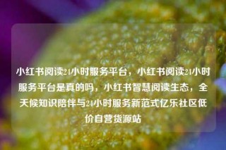 小红书阅读24小时服务平台，小红书阅读24小时服务平台是真的吗，小红书智慧阅读生态，全天候知识陪伴与24小时服务新范式亿乐社区低价自营货源站