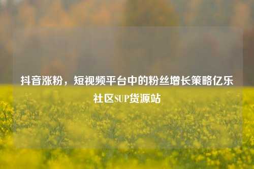 抖音涨粉，短视频平台中的粉丝增长策略亿乐社区SUP货源站  第1张