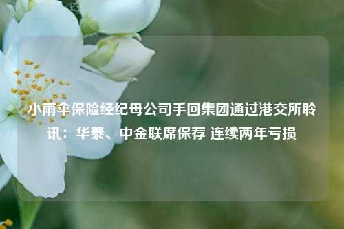 小雨伞保险经纪母公司手回集团通过港交所聆讯：华泰、中金联席保荐 连续两年亏损  第1张