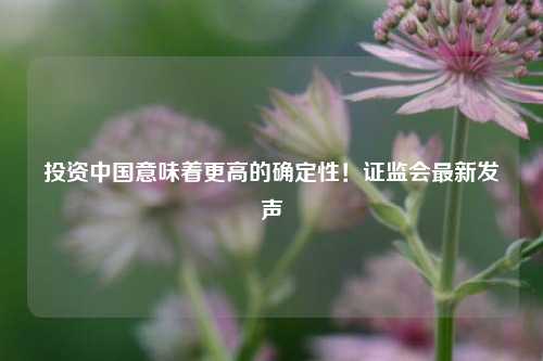 投资中国意味着更高的确定性！证监会最新发声  第1张