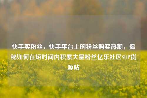 快手买粉丝	，快手平台上的粉丝购买热潮，揭秘如何在短时间内积累大量粉丝亿乐社区SUP货源站  第1张