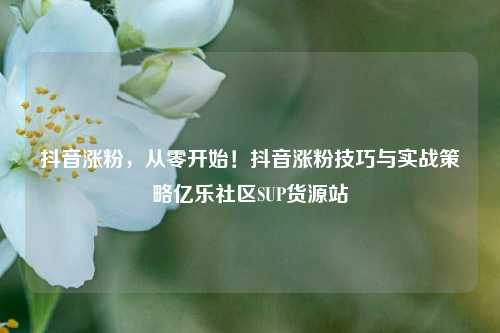抖音涨粉，从零开始！抖音涨粉技巧与实战策略亿乐社区SUP货源站  第1张