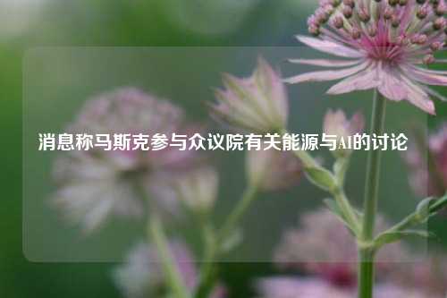 消息称马斯克参与众议院有关能源与AI的讨论  第1张
