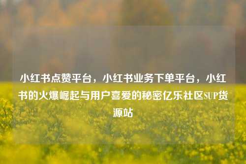 小红书点赞平台，小红书业务下单平台，小红书的火爆崛起与用户喜爱的秘密亿乐社区SUP货源站  第1张