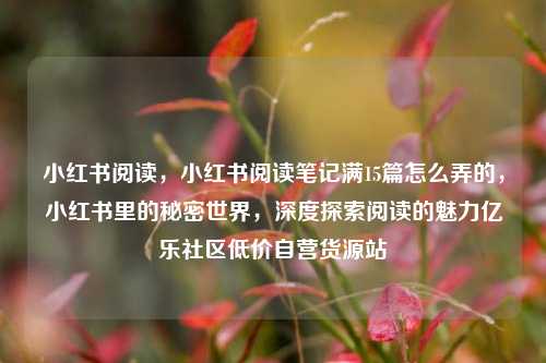 小红书阅读，小红书阅读笔记满15篇怎么弄的，小红书里的秘密世界	，深度探索阅读的魅力亿乐社区低价自营货源站  第1张