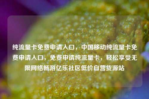 纯流量卡免费申请入口，中国移动纯流量卡免费申请入口，免费申请纯流量卡	，轻松享受无限网络畅游亿乐社区低价自营货源站  第1张