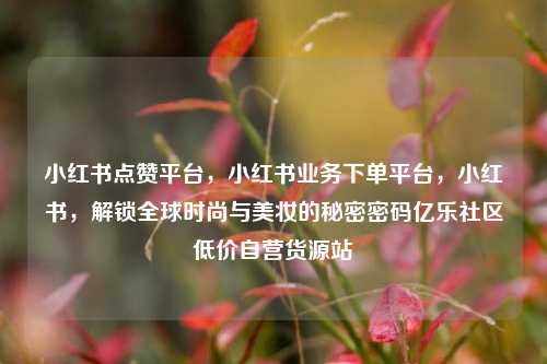 小红书点赞平台，小红书业务下单平台，小红书	，解锁全球时尚与美妆的秘密密码亿乐社区低价自营货源站  第1张