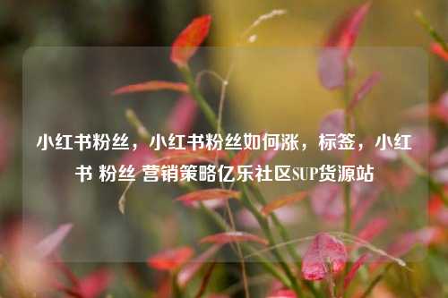 小红书粉丝	，小红书粉丝如何涨，标签，小红书 粉丝 营销策略亿乐社区SUP货源站  第1张