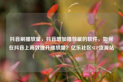 抖音刷播放量，抖音增加播放量的软件，如何在抖音上高效提升播放量？亿乐社区SUP货源站  第1张
