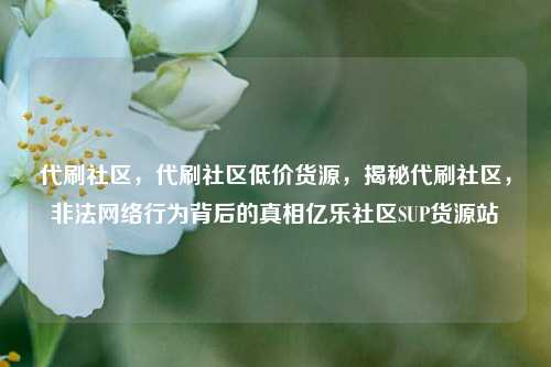 代刷社区，代刷社区低价货源，揭秘代刷社区	，非法网络行为背后的真相亿乐社区SUP货源站  第1张