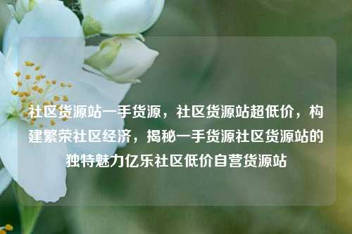 社区货源站一手货源，社区货源站超低价，构建繁荣社区经济	，揭秘一手货源社区货源站的独特魅力亿乐社区低价自营货源站  第1张