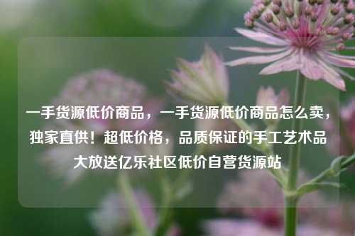 一手货源低价商品，一手货源低价商品怎么卖	，独家直供！超低价格，品质保证的手工艺术品大放送亿乐社区低价自营货源站  第1张